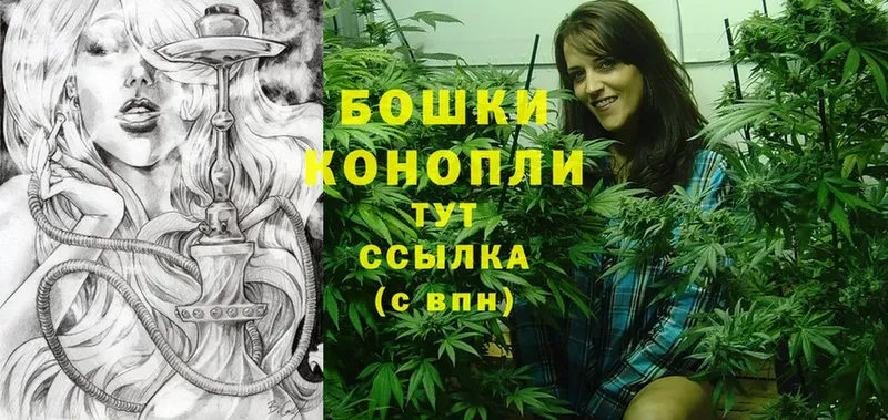 Бошки Шишки SATIVA & INDICA  гидра рабочий сайт  Коряжма  продажа наркотиков 